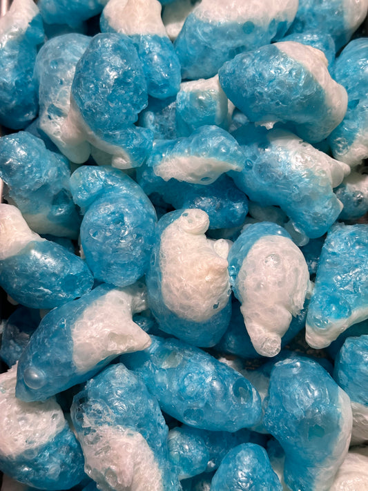 Arctic Blast: Premium Freeze-Dried Blue Shark Bites - The Ultimate Snack for Adventure Seekers